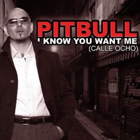 （图）I Know You Want Me [Pitbull]