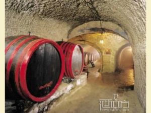 葡萄酒地窖