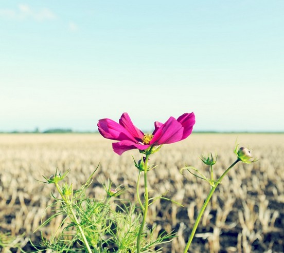 Mommy is hitting the bottle妈妈在砸瓶子.jpg