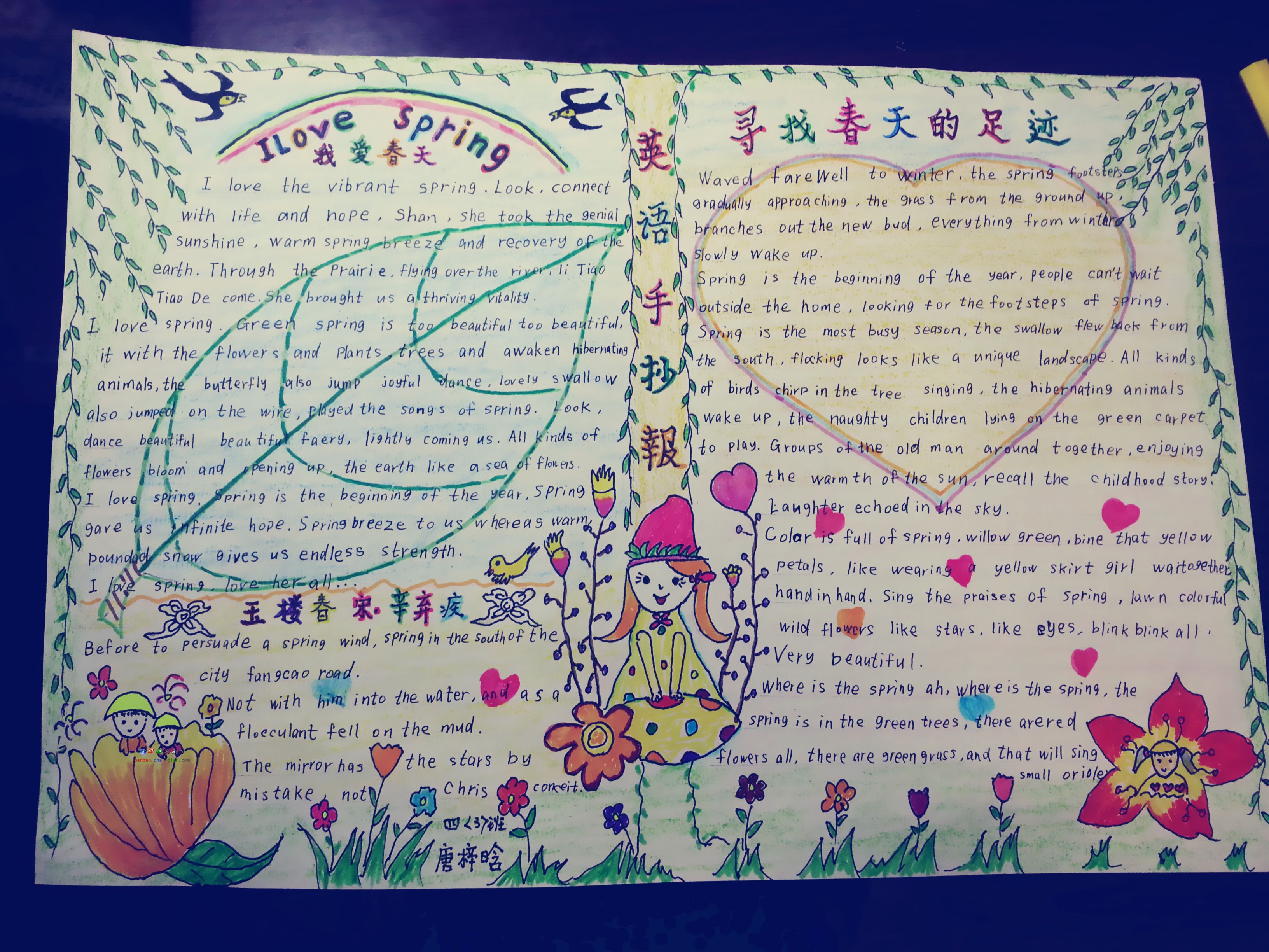 寻找春天的足迹英语手抄报