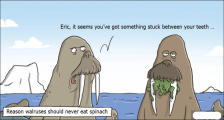 趣味图片英语笑话：walruses 海象（双语）