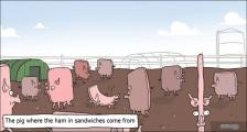 趣味图片英语笑话：sandwitches 三明治（双语）