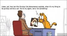 趣味图片英语笑话：Grumpy Cat 坏脾气猫（双语）