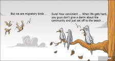 趣味图片英语笑话：migratory birds 候鸟（双语）