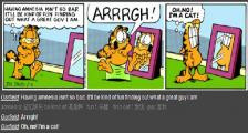 加菲猫认为记忆缺失不是件坏事-看漫画学英语之加菲猫[2]--双语幽默漫画