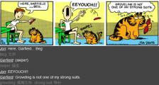 加菲猫拒绝摇尾乞怜-看漫画学英语之加菲猫[4]--双语幽默漫画