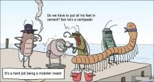 趣味图片英语笑话：centipede蜈蚣（双语）