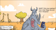 趣味图片英语笑话：Rhino on Tinder 火烧眉头的犀牛（双语）