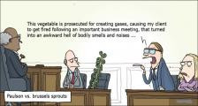 趣味图片英语笑话：Paulson vs. brussels sprouts保尔森与甘蓝（双语）