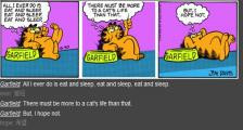 过着舒适生活的加菲猫-看漫画学英语之加菲猫[4]--双语幽默漫画