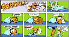 以牙还牙-看漫画学英语之加菲猫[2]--双语幽默漫画
