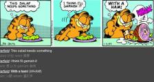 加菲猫用火腿拌沙拉-看漫画学英语之加菲猫[5]--双语幽默漫画