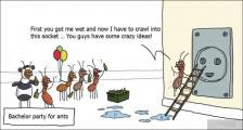 趣味图片英语笑话：Bachelor party for ants 单身蚂蚁的派对（双语）
