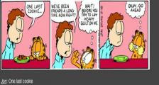 最后一块曲奇饼干-看漫画学英语之加菲猫[3]--双语幽默漫画