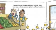 趣味图片英语笑话：genetically modified fruits and vegs转基因水果和蔬菜（双语）
