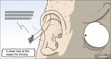 趣味图片英语笑话：tinnitus 耳鸣（双语）