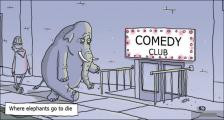 趣味图片英语笑话：elephants大象（双语）
