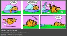 身材走样的加菲猫-看漫画学英语之加菲猫[2]--双语幽默漫画