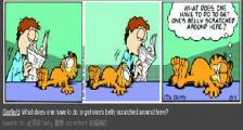 加菲猫的提问-看漫画学英语之加菲猫[2]--双语幽默漫画