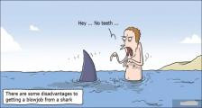 趣味图片英语笑话： shark 鲨鱼（双语）