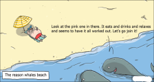 趣味图片英语笑话：The reason whales beach 鲸鱼搁浅的原因（双语）