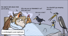 趣味图片英语笑话：ornithologist 鸟类学家（双语）