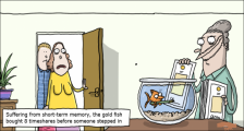 趣味图片英语笑话：gold fish 金鱼（双语）
