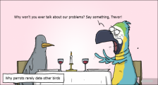 趣味图片英语笑话：parrots 鹦鹉（双语）