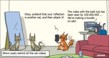 趣味图片英语笑话：cat videos 猫视频（双语）