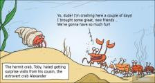 趣味图片英语笑话：The hermit crab 寄居蟹（双语）
